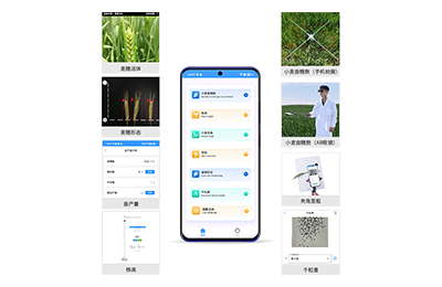 汕尾市小麦表型测量仪IN-XM05